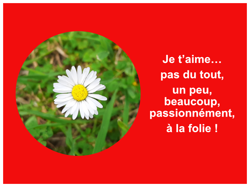 Je t'aime un peu ...